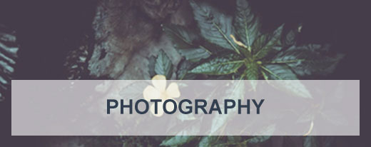 photography